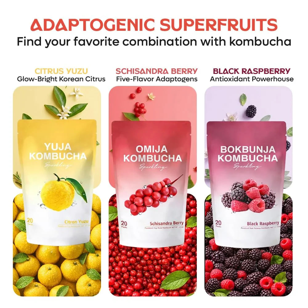 DALAMHARI Kombucha Powder Packets-Schisandra Berry 20T Tea Drink Sugar Free