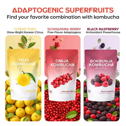 DALAMHARI Kombucha Powder | Black Raspberry Bokbunja 20T | Kombucha Drink Probiotic Soda Urban Kombucha Synergy Scoby Kombucha Starter Kit Adaptogen Drink Health Ade Kombucha Tea Bubbly